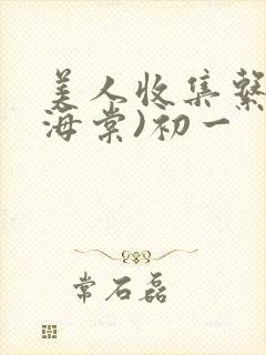 美人收集系统(海棠)初一