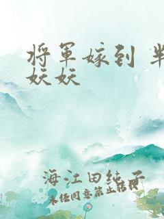 将军嫁到 半袖妖妖