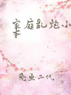 家庭乱炮小说全本