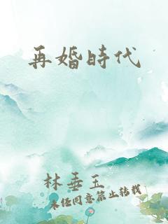 再婚时代