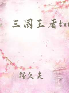 三国王者txt