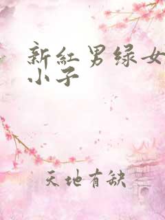 新红男绿女之坏小子
