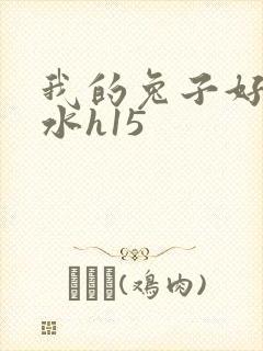 我的兔子好多软水h15