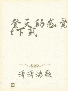 登天的感觉txt下载