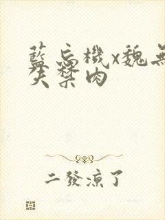 蓝忘机x魏无羡失禁肉