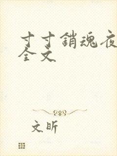 寸寸销魂夜春光全文