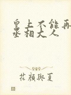 皇上不能再进了丞相大人