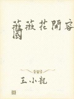 薇薇花开容颜倾国