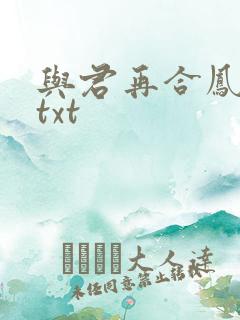 与君再合凤求凰txt