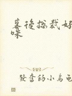 幕后总裁好孕妈咪