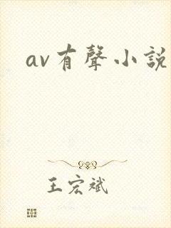 av有声小说