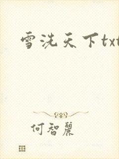 雪洗天下txt