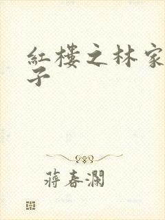 红楼之林家庶长子