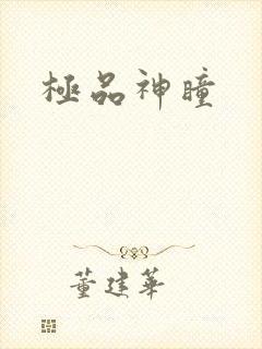 极品神瞳