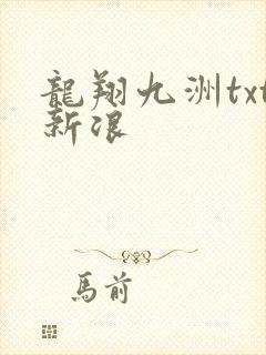 龙翔九洲txt新浪