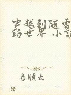 穿越到随处做 的世界 小说