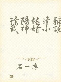 徐阳林清雅绝世武神婿小说