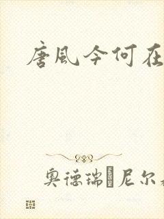唐风今何在