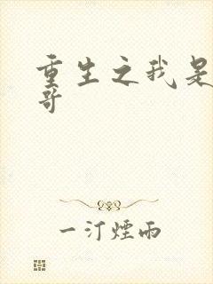 重生之我是大帅哥