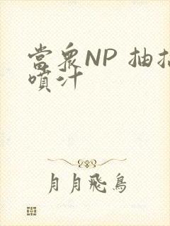 当众NP 抽搐喷汁