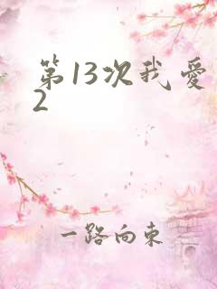 第13次我爱你2