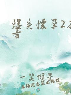 爆炎怀孕2在线看