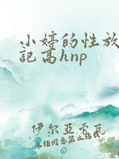 小婷的性放荡日记高hnp