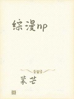 综漫np