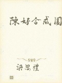 陈好合成图