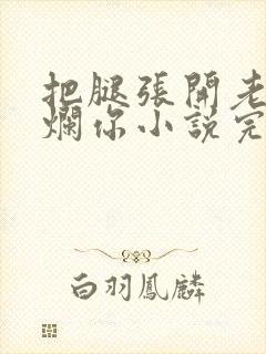 把腿张开老子臊烂你小说完