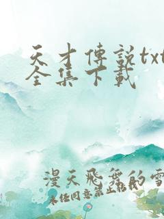 天才传说txt全集下载