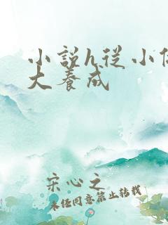 小说h从小做到大养成