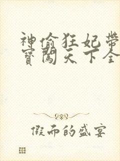 神偷狂妃带着宝宝闯天下全文免费阅读