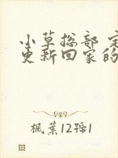 小草总部 定期更新回家的路