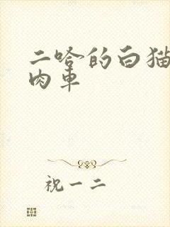 二哈的白猫师尊肉车