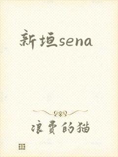 新垣sena
