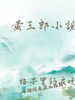 黄玉郎小说