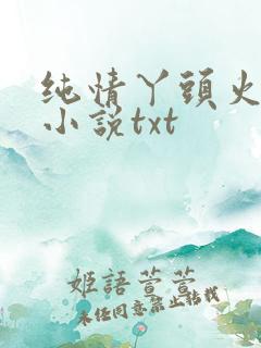 纯情丫头火辣辣小说txt