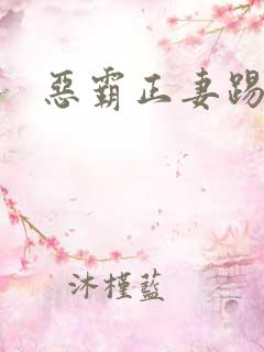 恶霸正妻踢娇妾