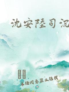 沈安陆司沉小说