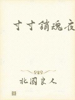 寸寸销魂夜春光