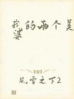 我的两个美女老婆