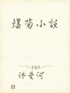 爆菊小说