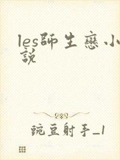 les师生恋小说