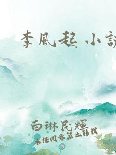 李风起 小说