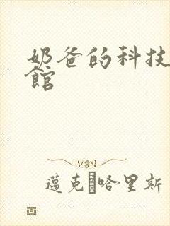 奶爸的科技武道馆