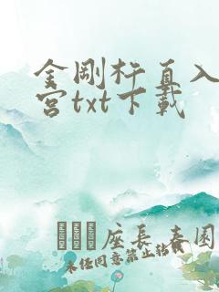 金刚杵直入莲花宫txt下载