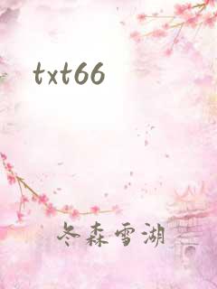 txt66