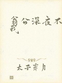 翁公深夜不停要我