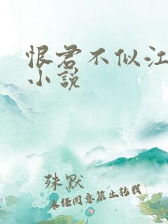 恨君不似江楼月小说